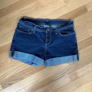 Patagonia Blue Denim Shorts